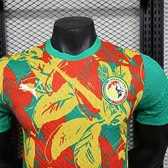 2025/2026 Spielerversion Senegal Nationalmannschaft Vorbereitungskleidung Fußballtrikot  — view 3