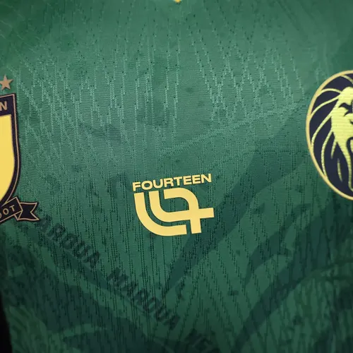 2025/2026 Player Version Cameroon Home Football Shirt  — view 6