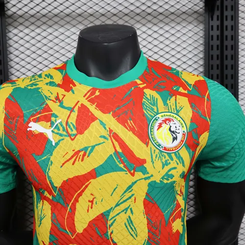 2024/2025 Versão Jogador Camisa de Futebol Treino Seleção Senegal AAA qualidade fã — view 5