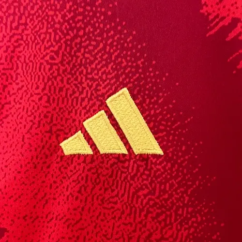 2024 España Camiseta de Fútbol Local AAA Grado Aficionado Talla Infantil — view 7