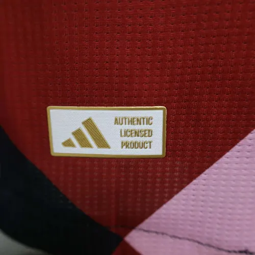 2024/2025 Player Edition Bayern Munich Special Edition Football Jersey  — view 9