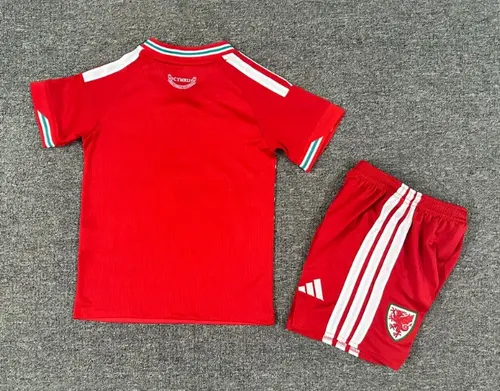 Camiseta Local de Gales 2026  Talla Infantil — view 2