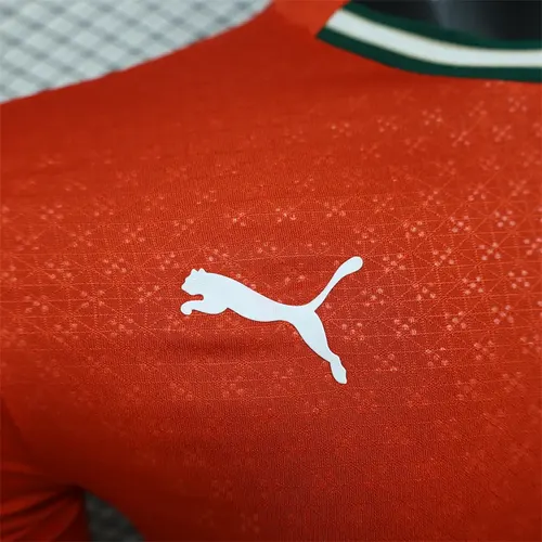 2025/2026 Spielerversion Langarm Portugal Heim Fußballtrikot  — view 5
