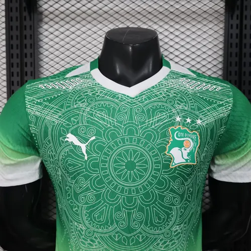 2026 Version Joueur Maillot Édition Spéciale Verte Équipe Nationale de Côte d'Ivoire Football   — view 3