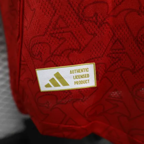 2025/2026 Long Sleeves Player Version Arsenal Home Football Shirt  — view 10