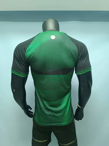2025/2026 Celtic Sonderausgabe Fußballtrikot  — view 2
