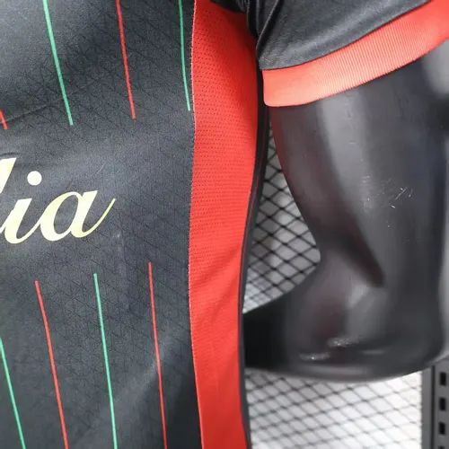 Maillot Noir Édition Spéciale Palestine Version Joueur 2025/2026  — view 8
