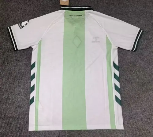 2025/2026 Werder Bremen Édition Spéciale 02 Maillot de football  landaise — view 2