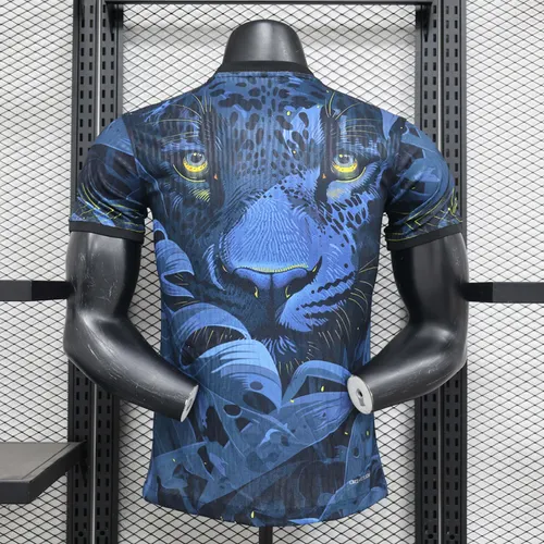 2024 Player Version Brazil Special Edition grey Football Shirt  — view 2