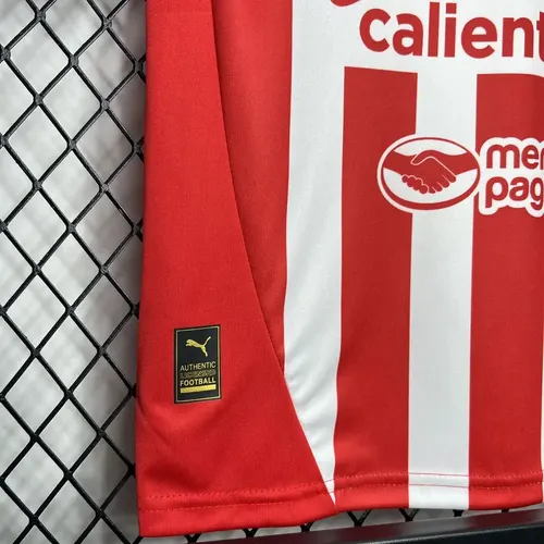 2024/2025 Chivas Maillot Domicile Taille Enfant  — view 6