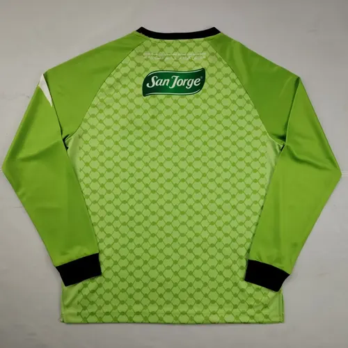 2025/2026 Langarm Palästina Hellgrün Fußballtrikot  — view 2