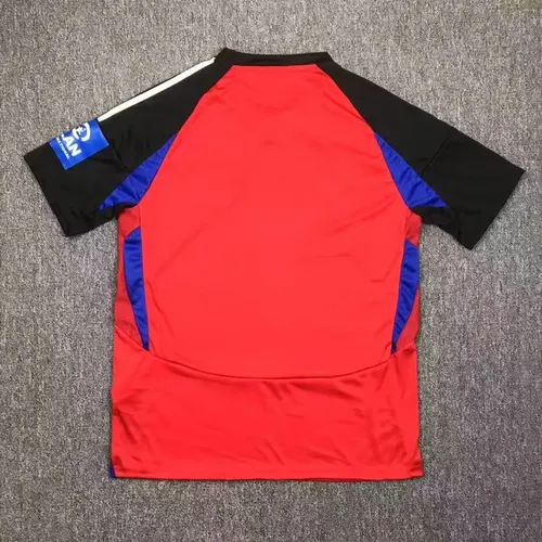 2024-2025 Hamburger SV Drittes Auswärts-Trikot  — view 2