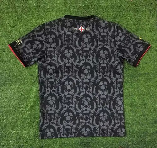 Maillot de football Angleterre Édition Spéciale 2024 Gris Noir AAA qualité fan — view 2