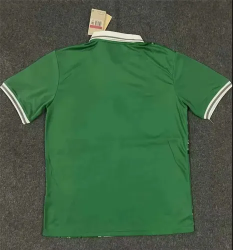 2023/2024 Nigeria National Team Home Football Shirt  — view 2