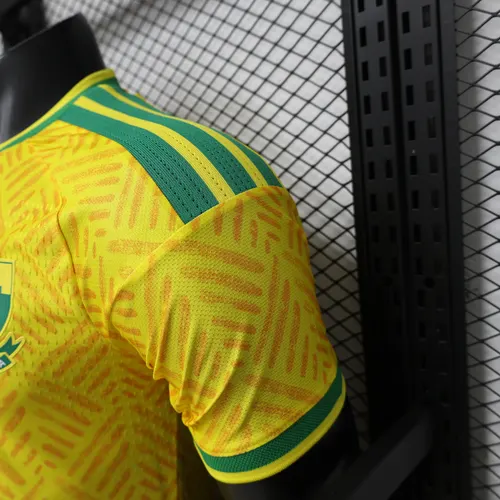 2026 Version Joueur Maillot Domicile Équipe Nationale Afrique du Sud AAA qualité fan — view 8