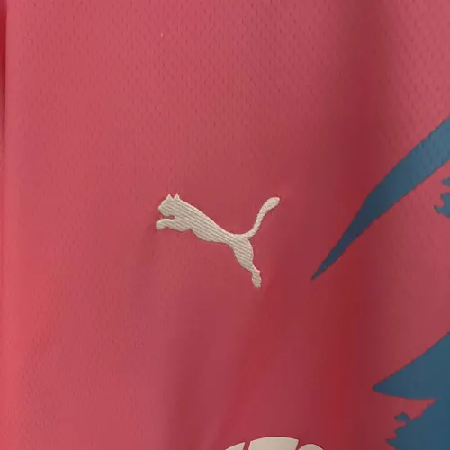 2023/2024 Palmeiras Commemorative Edition Jersey  — view 5