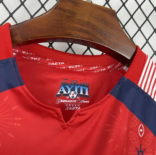 2026 Haiti Nationalmannschaft Drittes Auswärts-Fußballtrikot AAA Fan-Qualität — view 4