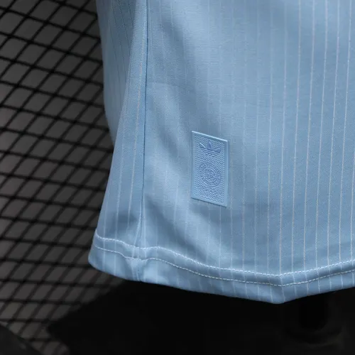 2025/2026 Version Joueur Germany 125e Anniversaire Édition Bleu Ciel Maillot de football  — view 8