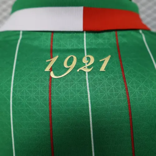 2025/2026 Versión Jugador Camiseta de Fútbol Edición Especial Palestina Verde Calidad Thai — view 5