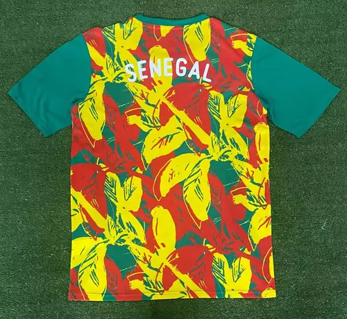 2024/2025 Camisa de Futebol Treino Seleção Senegal AAA qualidade fã — view 2