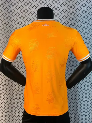 2025/2026 Spielerversion Elfenbeinküste Nationalmannschaft Heim Fußballtrikot  — view 2