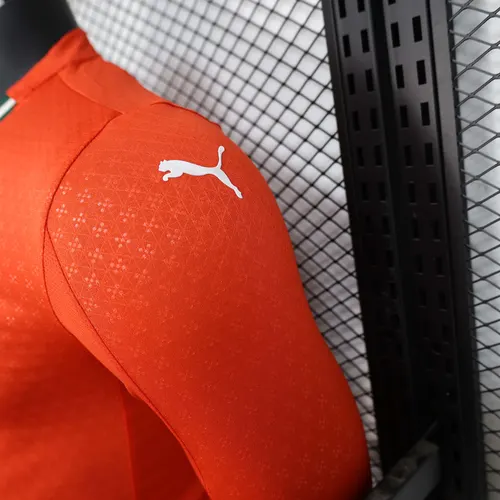 2025 Player Version Long Sleeve Portugal Home Football Shirt  — view 7