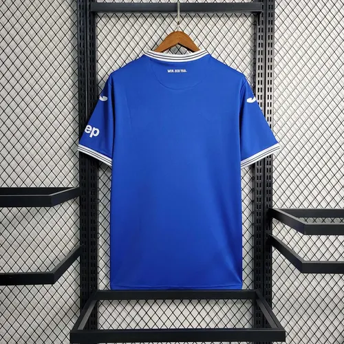 2023/2024 Maillot Domicile Hoffenheim lande — view 2