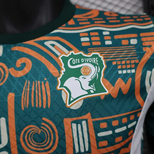 2024/2025 Versión Jugador Camiseta de Fútbol Entrenamiento Selección Nacional de Costa de Marfil AAA calidad fan — view 6