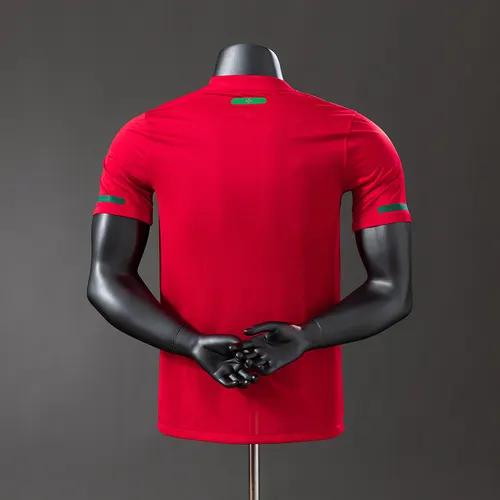 Camisa Retro 2010 Versão Jogador Portugal Casa AAA qualidade fã — view 2