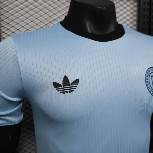 2025/2026 Version Joueur Germany 125e Anniversaire Édition Bleu Ciel Maillot de football  — view 4