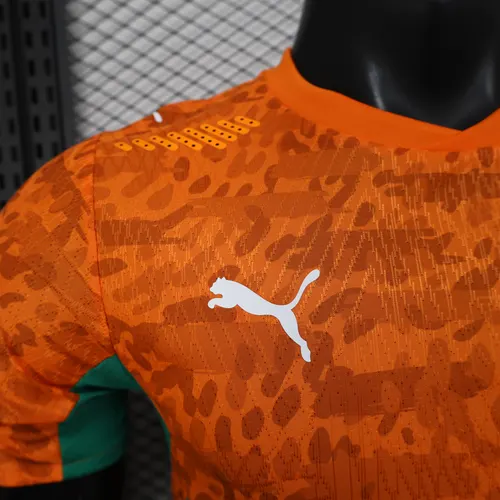 2026 Spielerversion Côte d'Ivoire Heim Fußballtrikot AAA Fan-Qualität — view 4