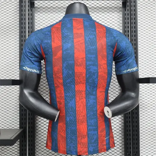 2024/2025 Maillot Version Joueur Édition Spéciale Rayures Barcelona  — view 2