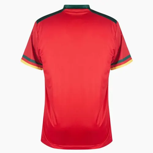 2022 FIFA-Weltmeisterschaft Kamerun Nationalmannschaft Drittauswärtstrikot — view 2