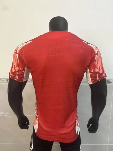 2025/2026 Version Joueur Manchester United Maillot de Football Édition Spéciale 07  — view 2