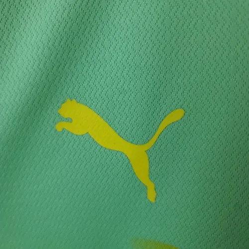 2022/2023 Palmeiras Third Away Jersey  — view 4