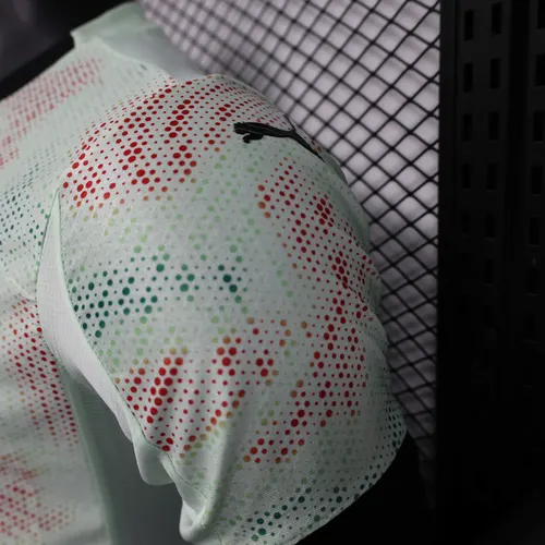 2025/2026 Spielerversion Portugal Vorbereitung Uniform Fußballtrikot  — view 7