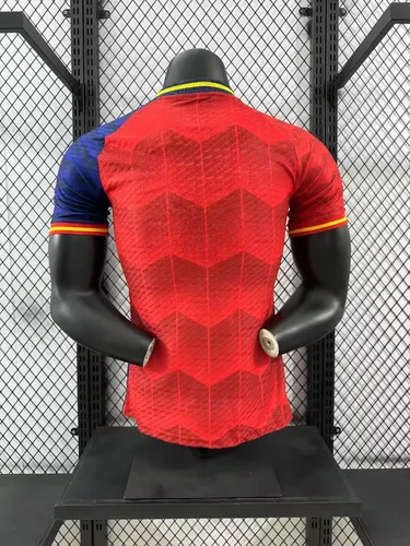 2024/2025 Version Joueur Espagne Édition Spéciale Maillot 02 — view 2