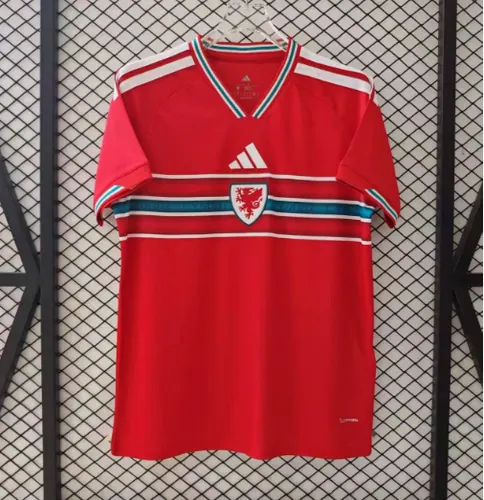 Maillot Domicile Pays de Galles 2026 landaise