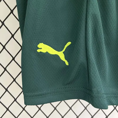 2023/2024 PalmeirasThird Away Jersey  Kids Size — view 10