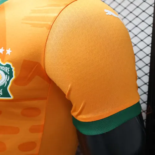 2024 Spieler Version Elfenbeinküste Heim Fußballtrikot AAA Fan-Qualität — view 6