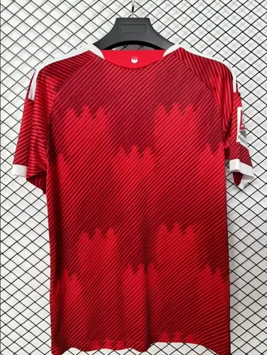2026/2027 FC Nürnberg Home Football Jersey   — view 2