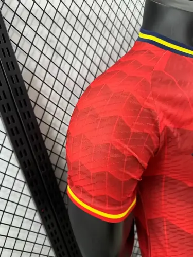 2024/2025 Version Joueur Espagne Édition Spéciale Maillot 02 — view 4