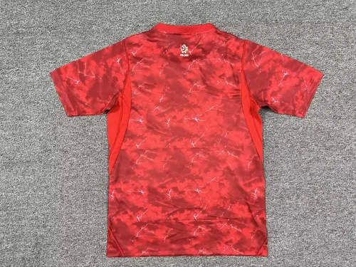 2026 Pologne Équipe Nationale Maillot Extérieur Football   — view 2