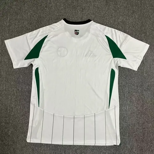2024-2025 Schalke 04 Away Football Jersey  — view 2
