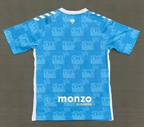 2025/2026 Coventry City Home Football Jersey  — view 2