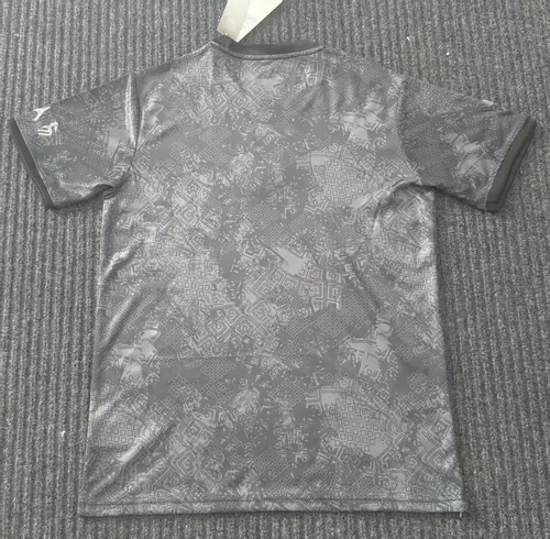 Camisa de Futebol Training Suit Cinza da Argentina 2025/2026  — view 2